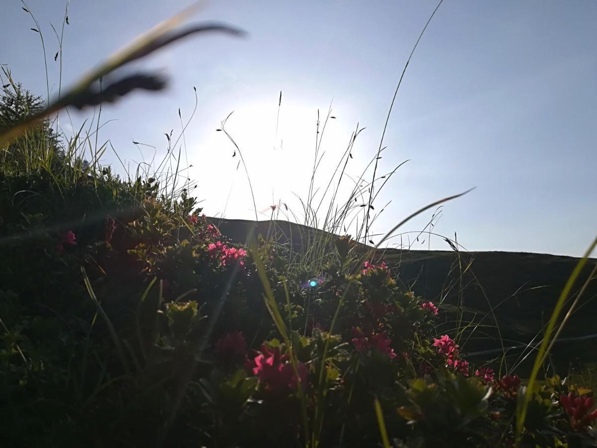 Herbst Wohnerlebnis Lofer Zewnętrze zdjęcie