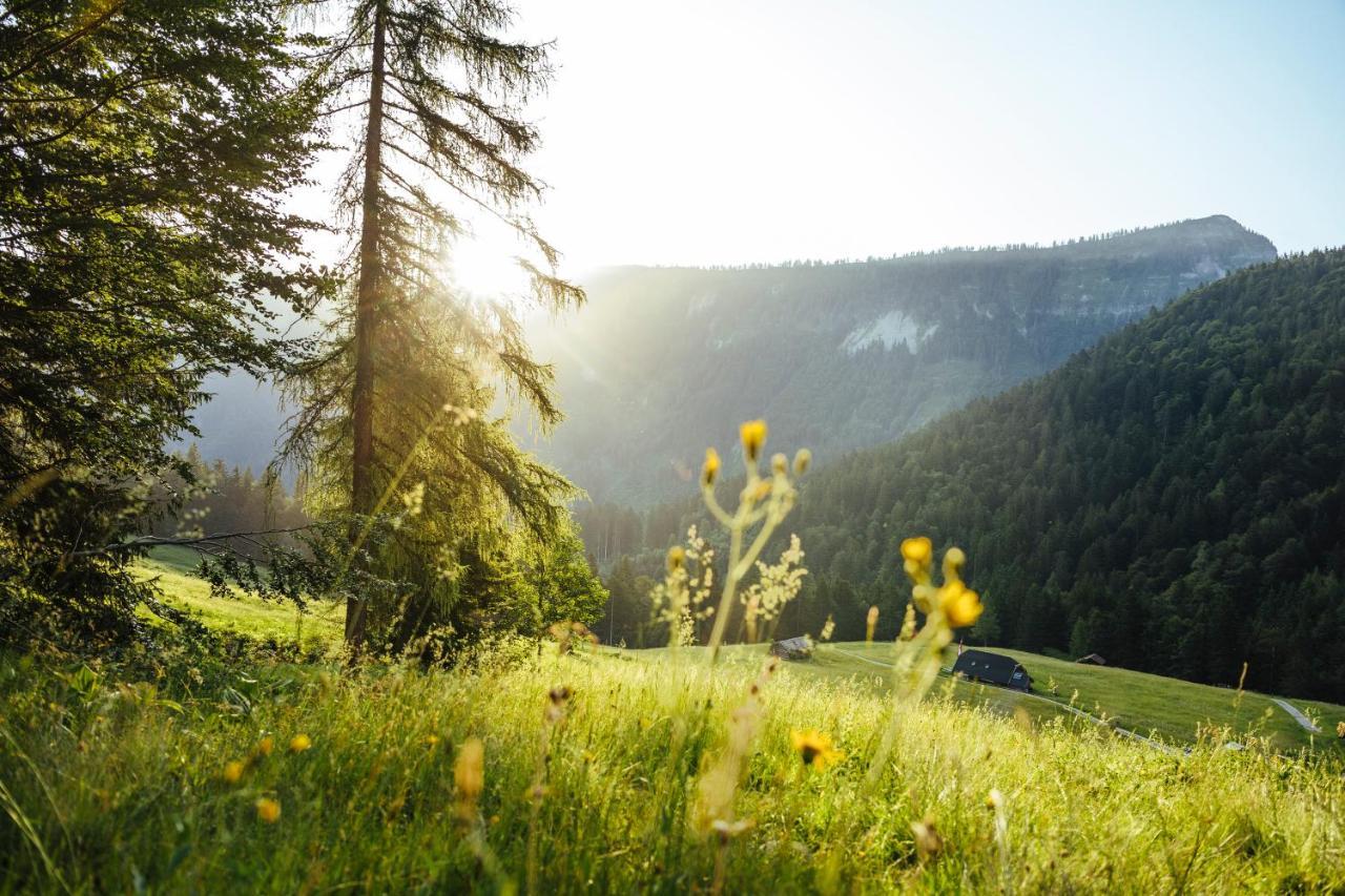 Herbst Wohnerlebnis Lofer Zewnętrze zdjęcie